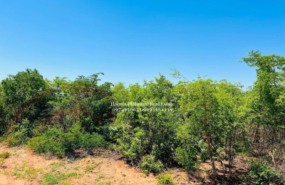 Plot For Sale In Highlands