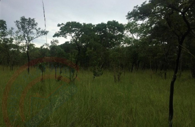 Virgin Farm Land for Sale in Kapiri Mposhi