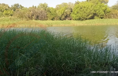 6Ha Zambezi River Frontage - 853
