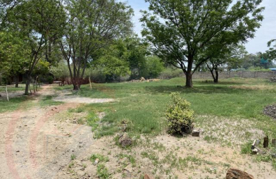 Zambezi Waterfront land For Sale