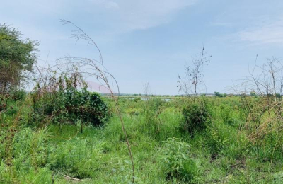 Zambezi Waterfront land For Sale