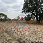 15 acres smallholding for sale in Kabwe