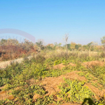 Residential Plot for sale in Highlands