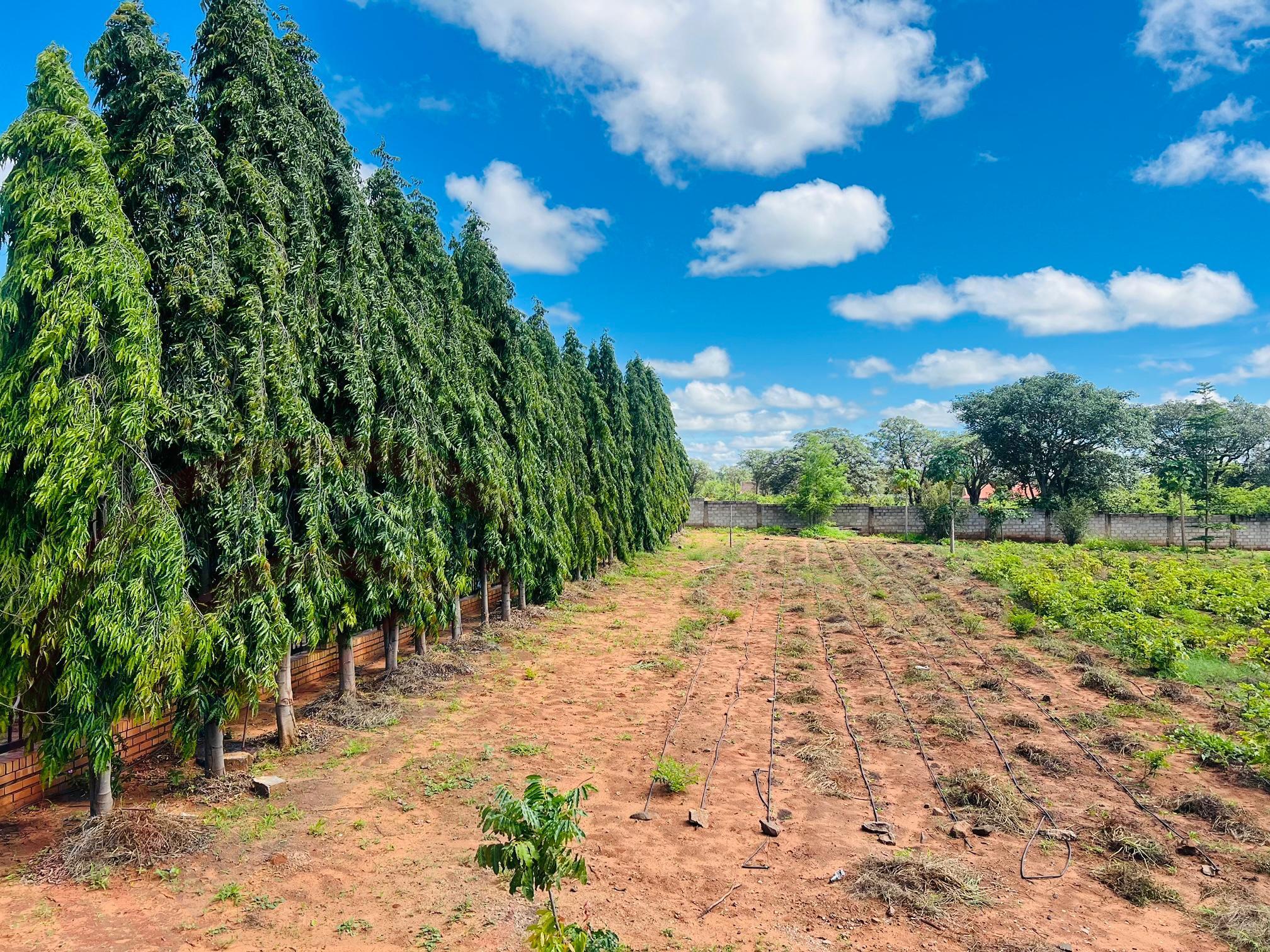 8000 Sq meters Plot for sale off Aiport Road