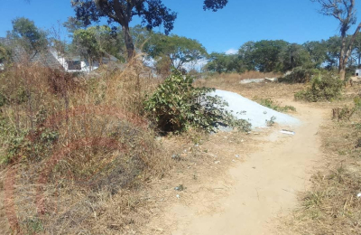 Residential Plot for sale in State Lodge