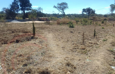 Residential Plot for sale in State Lodge