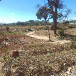 Residential Plot for sale in State Lodge