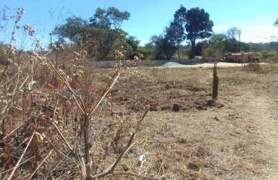 Residential Plot for sale in State Lodge