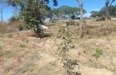 Residential Plot for sale in State Lodge