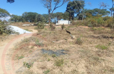 Residential Plot for sale in State Lodge