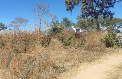 Residential Plot for sale in State Lodge