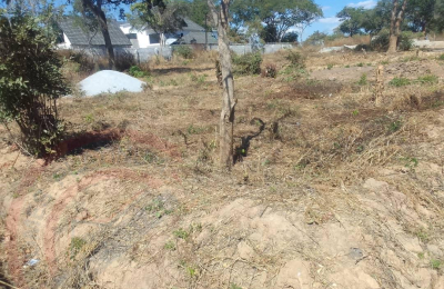 Residential Plot for sale in State Lodge