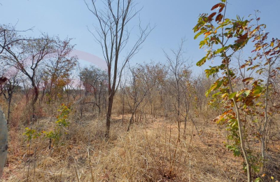 1.3Ha Commercial Land in Highlands - Livingstone
