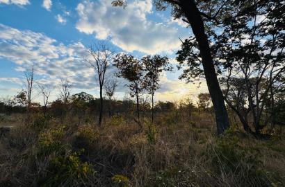 Residential Plots for Sale In Livingstone - Highlands