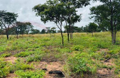 Plots for Sale Along Lusaka Road In Livingstone - Near Toll gate