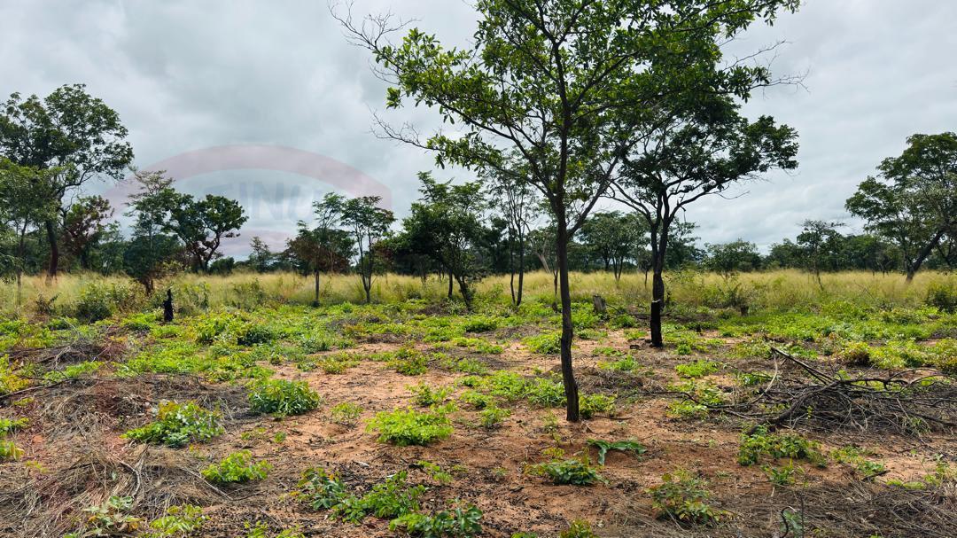 Plots for Sale Along Lusaka Road In Livingstone - Near Toll gate