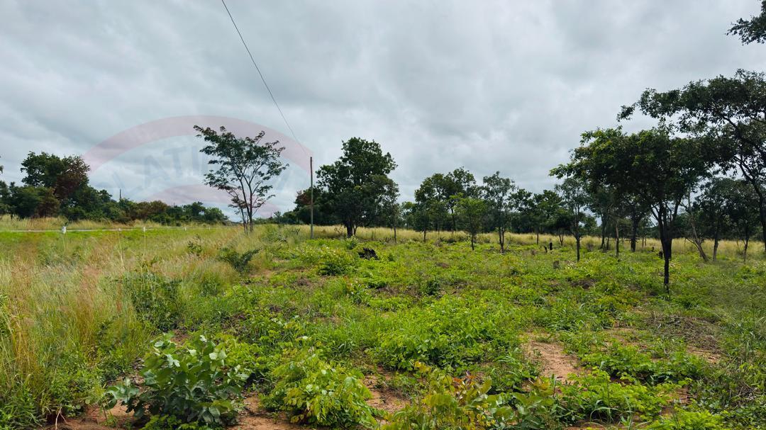Plots for Sale Along Lusaka Road In Livingstone - Near Toll gate