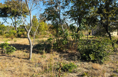 Affordable plot for sale in Highlands