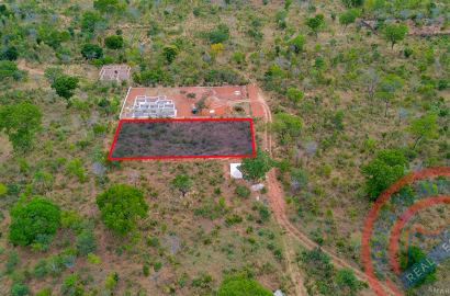 Every Day, Land Is Getting More Expensive